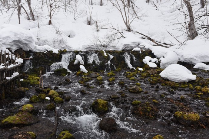 1545622162185942.jpg 名水公園2.jpg