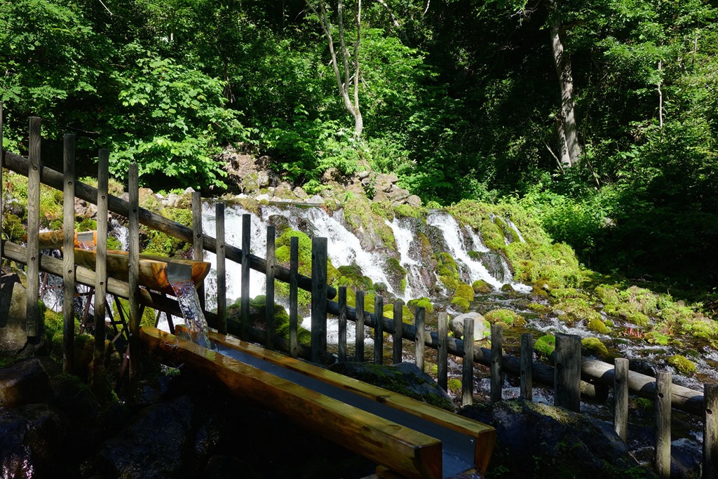 1545622208258995.jpg dsc08657.jpg