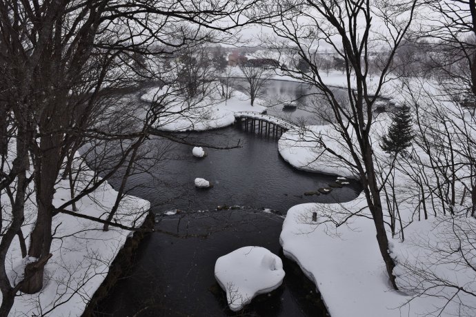 1545622236516764.jpg 名水公園1.jpg